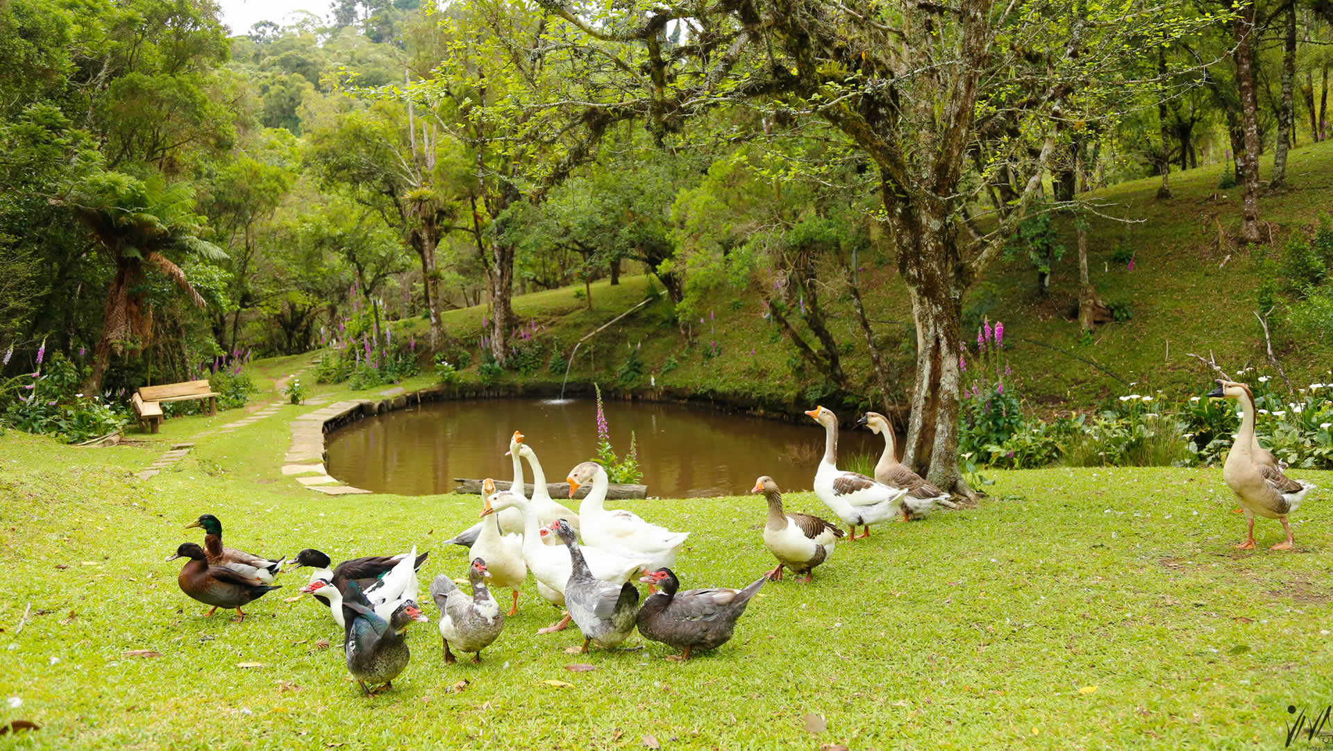 Lago na Fazendinha Toriba em Campos do Jordão